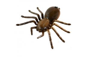 Игрушка на Ик-Управлении Паук , черный,коричневый-фото